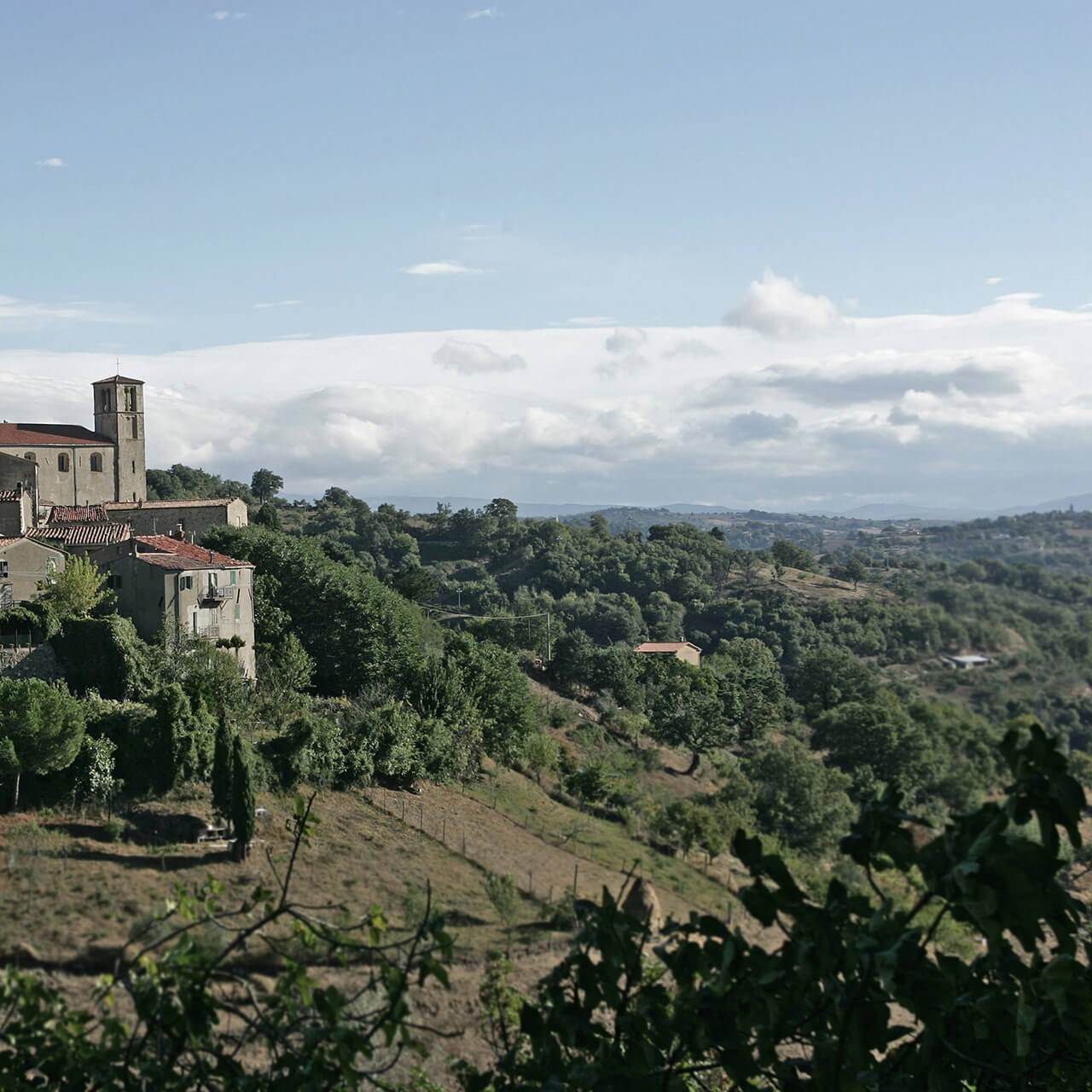 cerreto-piano-intro-scansano