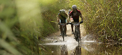 territorio-maremma-box-mare