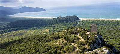 territorio-maremma-box-mare